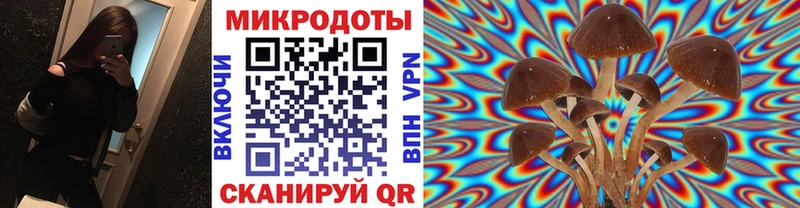 Галлюциногенные грибы прущие грибы  Зверево 