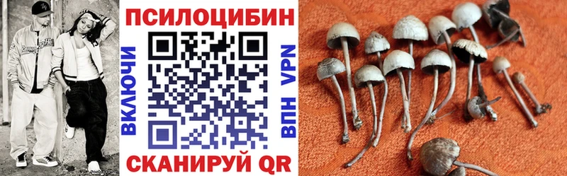 Псилоцибиновые грибы прущие грибы Зверево